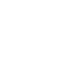 Icon---_0002_Lawyers